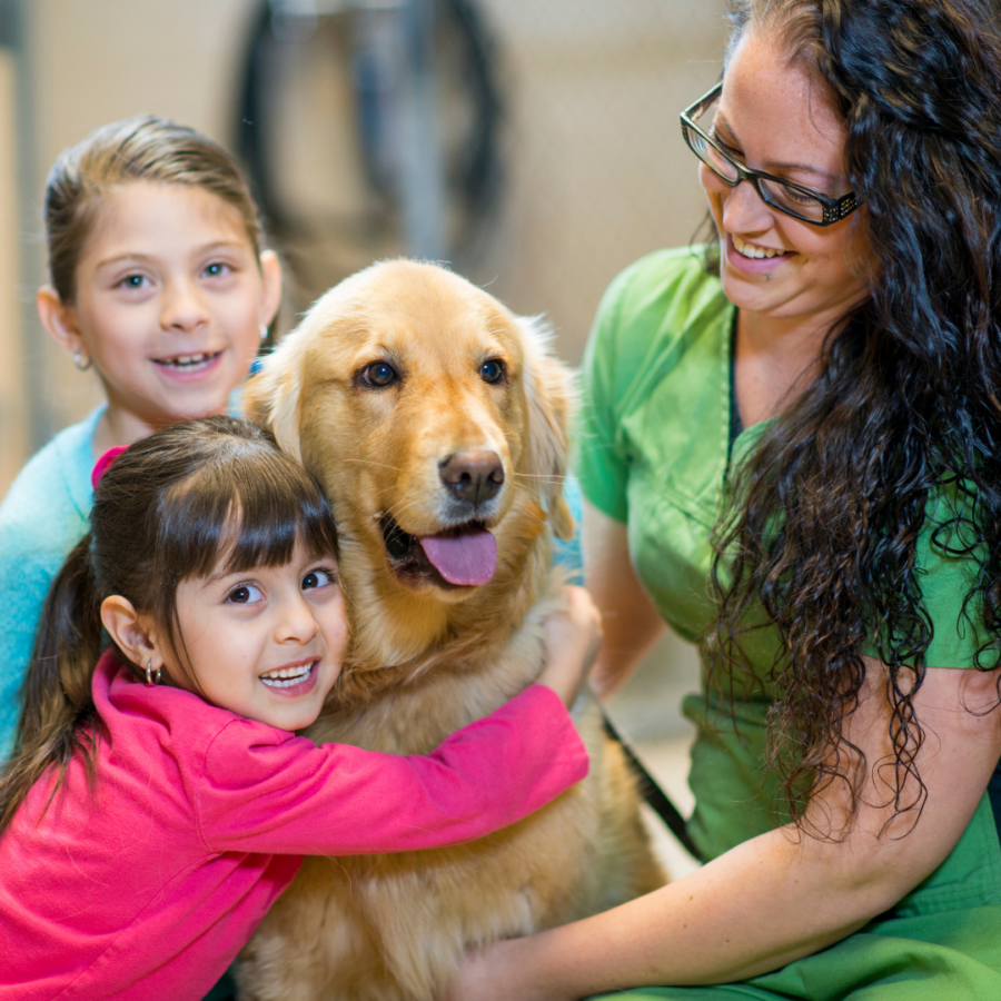 Pet Adoption Centers in Westchester – Westchester Family