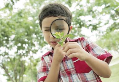 Fabulous Nature Centers