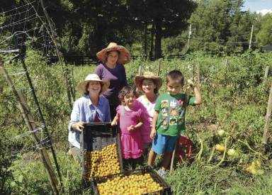 Hemlock Hill Farm