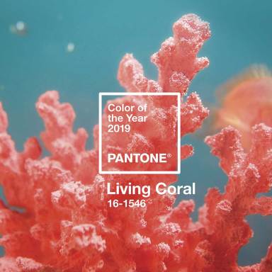 Living Coral