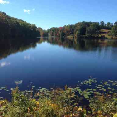 Top 5 Family Trail Picks for Spring @ Rockefeller State Park Preserve