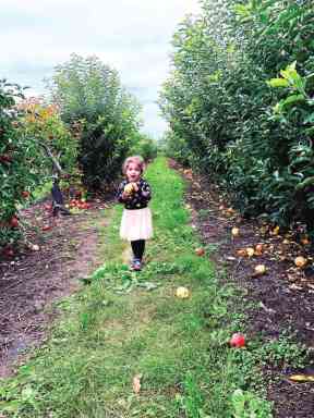 Let’s Go to the Apple Orchard!