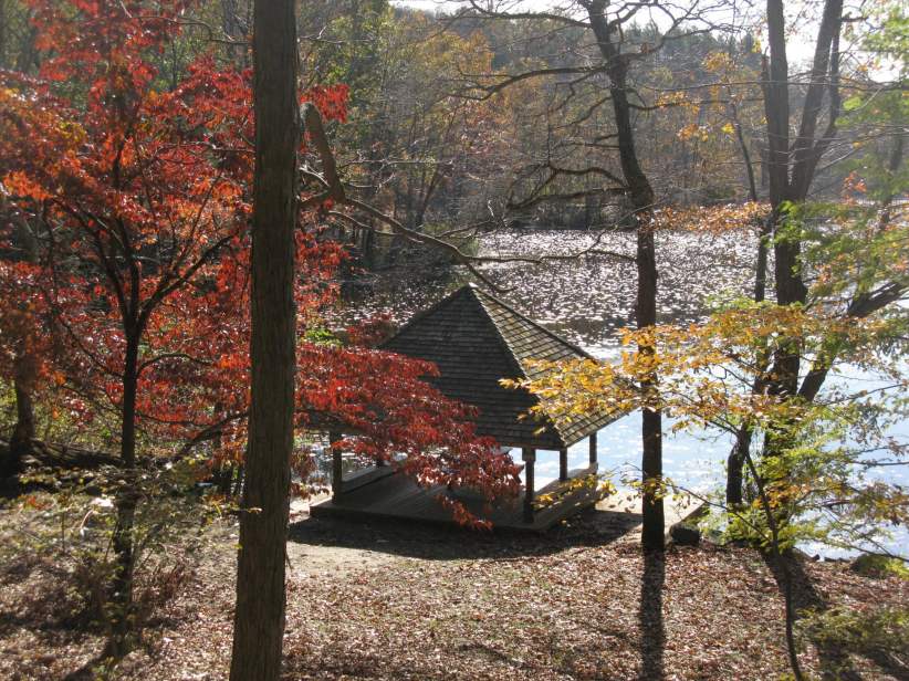 Teatown hike with kids