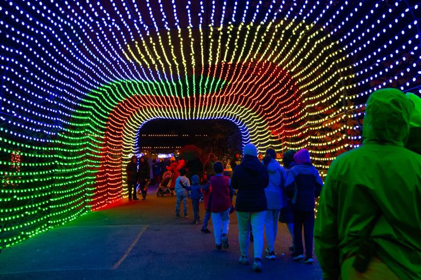 Bronx Zoo Holiday Lights