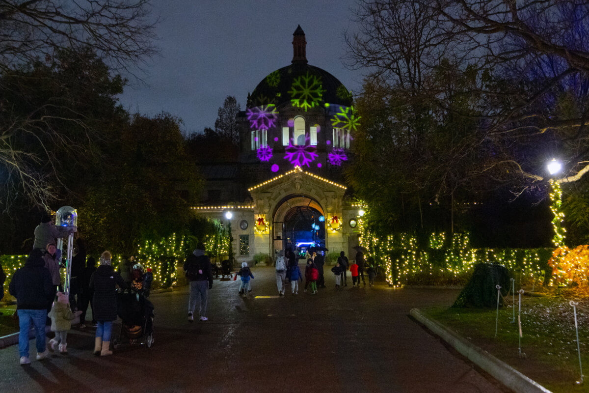 First Look Bronx Zoo Holiday Lights Westchester Family