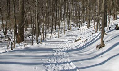 Winter hike at Teatown.