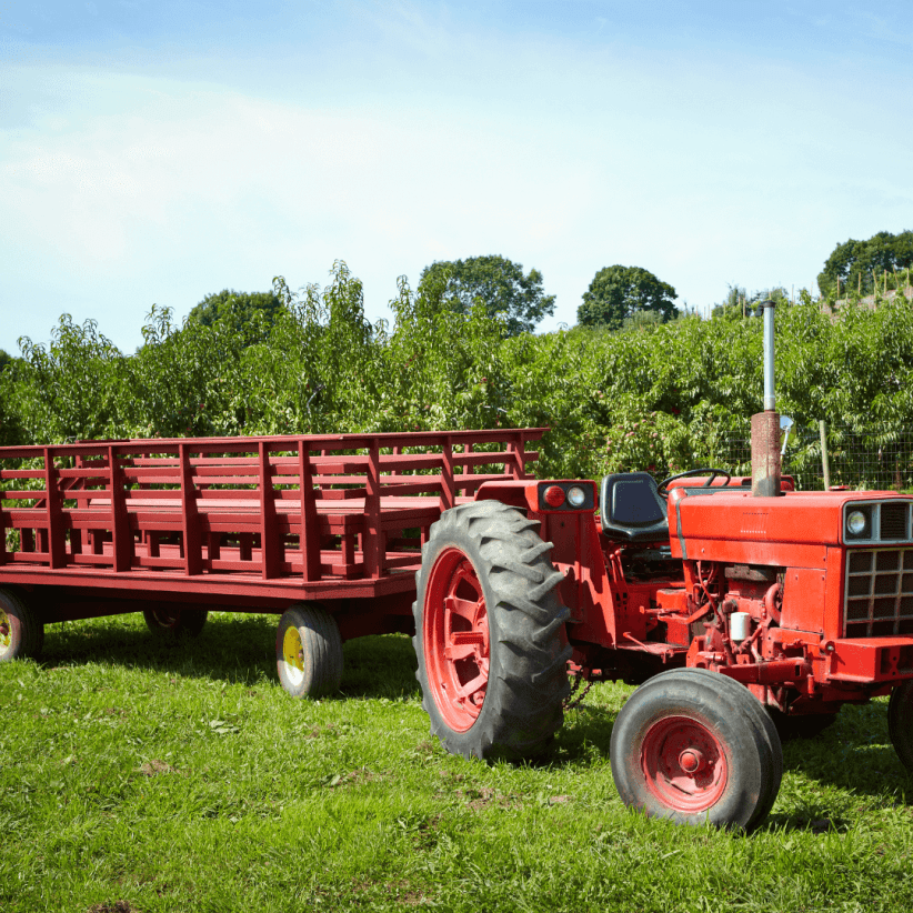 Hayrides in Westchester