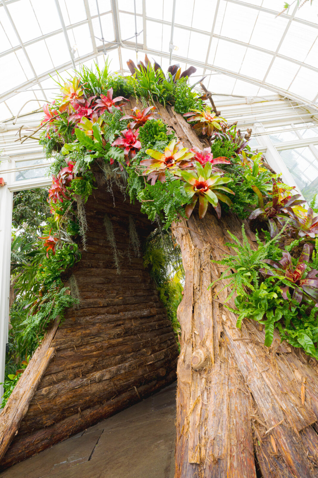 Wonderland: Curious Nature Exhibit at New York Botanical Garden ...